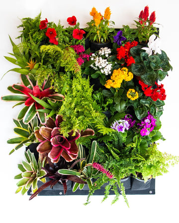 Bolsa de Cultivo para Jardín Vertical 30 Bolsillos de 80cm X 100cm